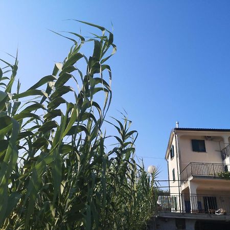 Saleto Apartma Jagodje Esterno foto