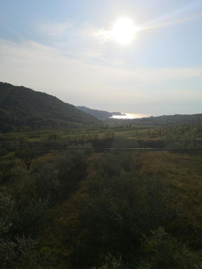 Saleto Apartma Jagodje Esterno foto
