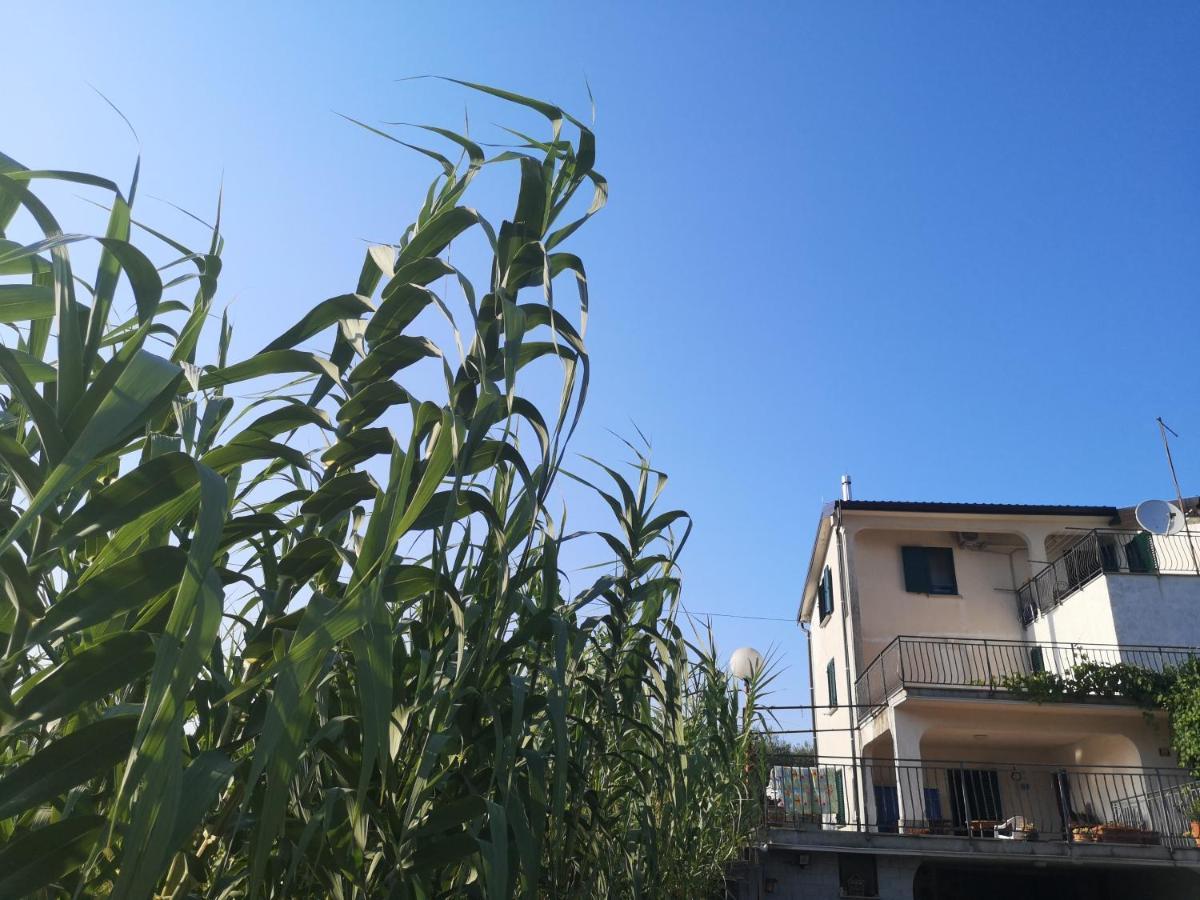 Saleto Apartma Jagodje Esterno foto