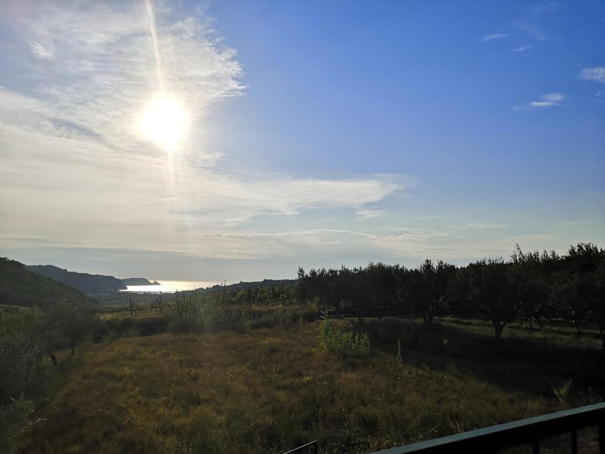 Saleto Apartma Jagodje Esterno foto