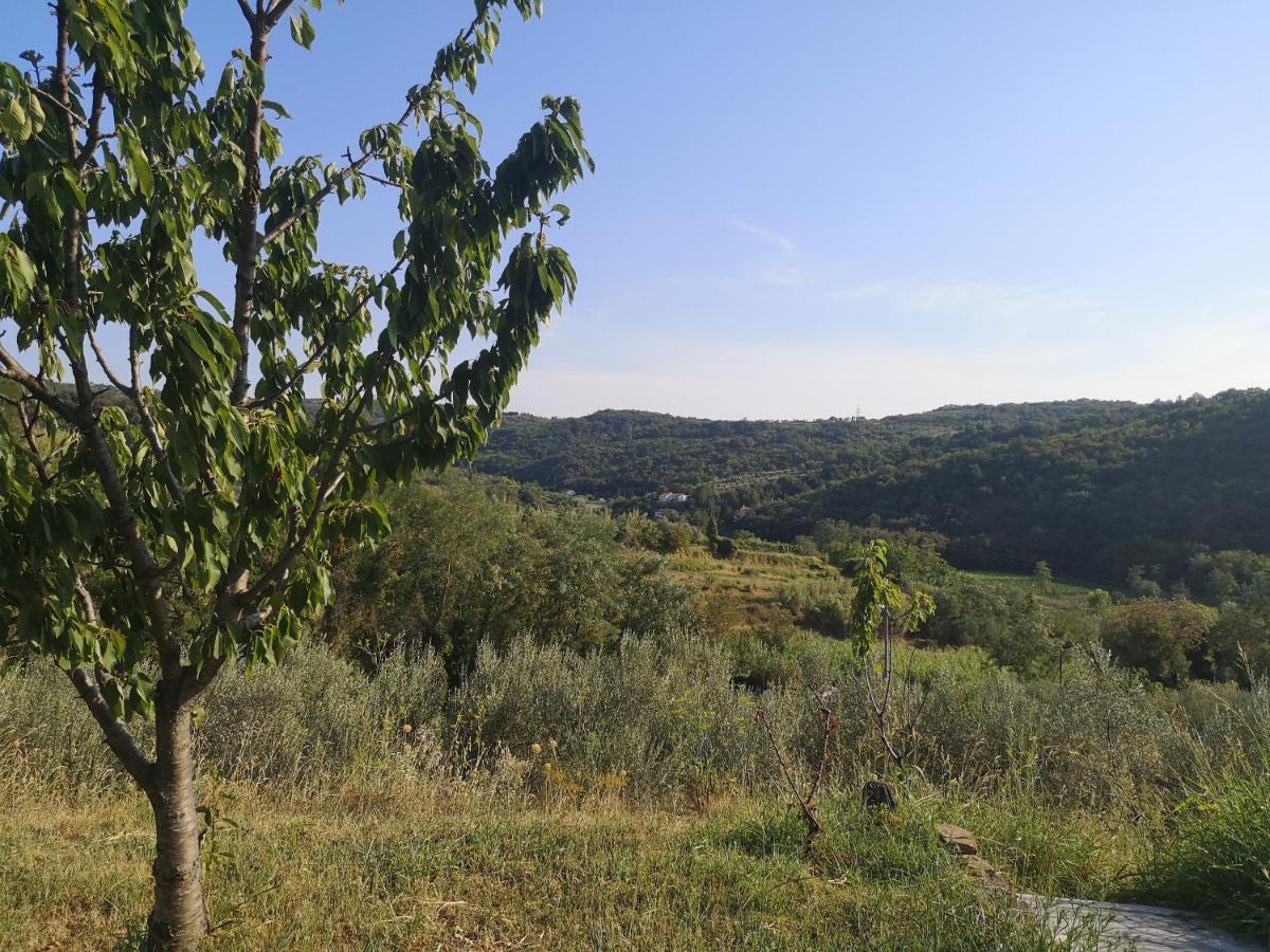Saleto Apartma Jagodje Esterno foto